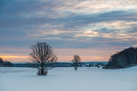 Fabius Farm Morning, 2/14/2017
