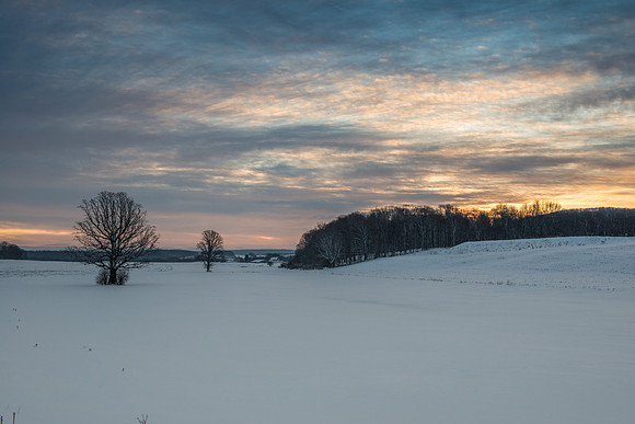 Fabius Farm Morning, 2/14/2017