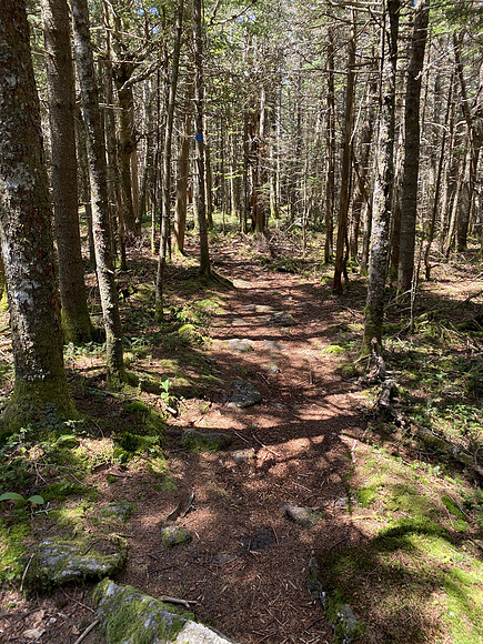 Slide Mountain, 2020-06-04