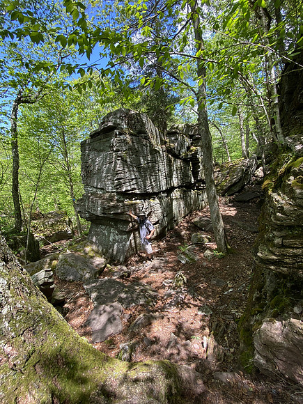 Slide Mountain, 2020-06-04