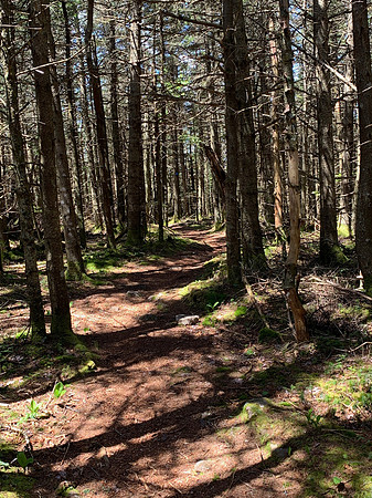 Slide Mountain, 2020-06-04