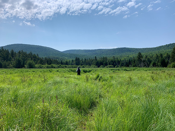 Colgate Lake to Dutcher Notch, 2020-07-02