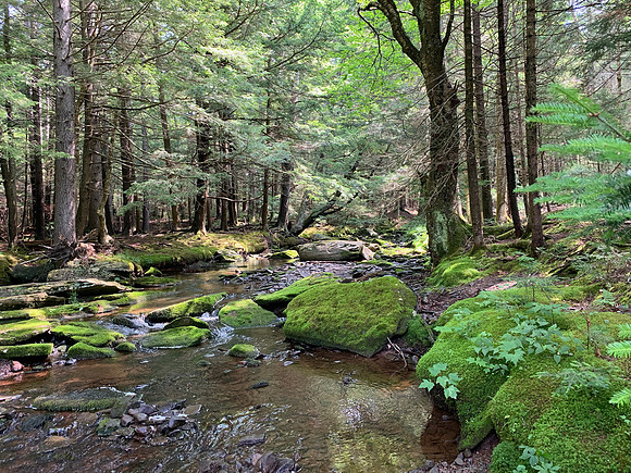 Hunter Mountain, 2020-10-08