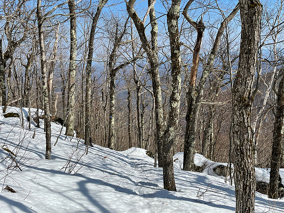 Descending Burnt Knob, 2021-03-10