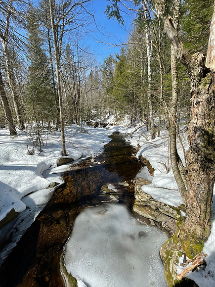Brook on Trail to Burnt Knob, 2021-03-10