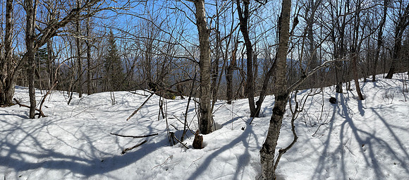 Balsam Mountain, 2021-03-23