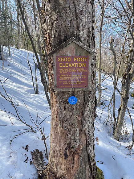 Balsam Mountain, 2021-03-23