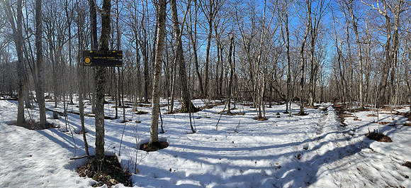 Trail Intersection, Balsam Mountain, 2021-03-23