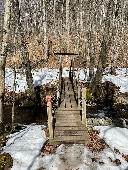 Balsam Mountain, 2021-03-23