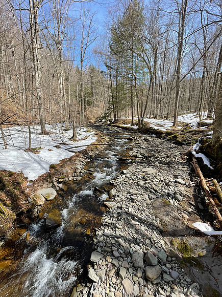 Balsam Mountain, 2021-03-23