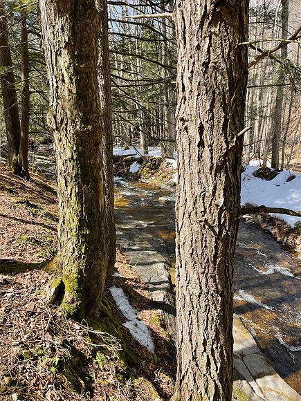 Balsam Mountain, 2021-03-23