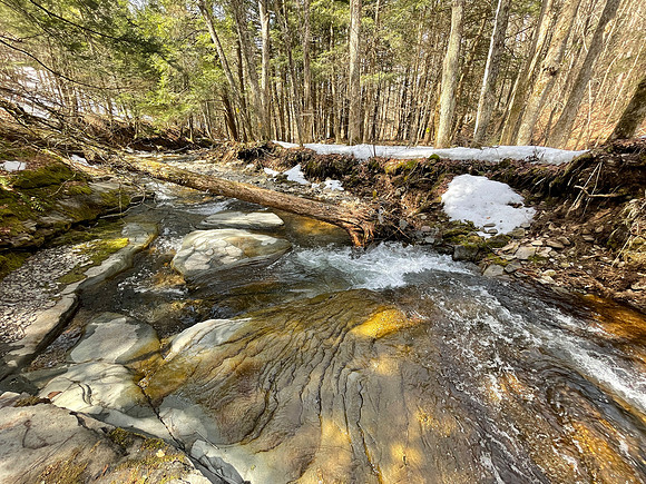 Balsam Mountain, 2021-03-23