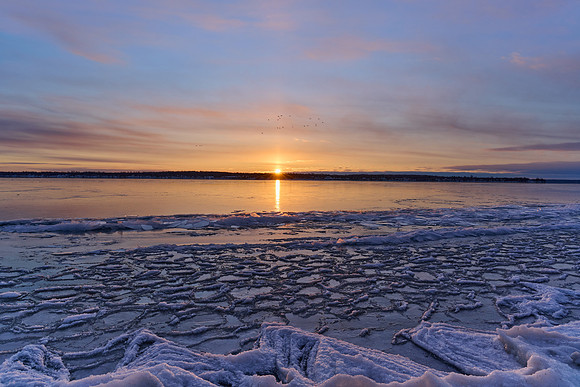 2025-01-20, Winter Ice