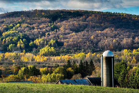 Neighbor's Farm - 10/24/2014