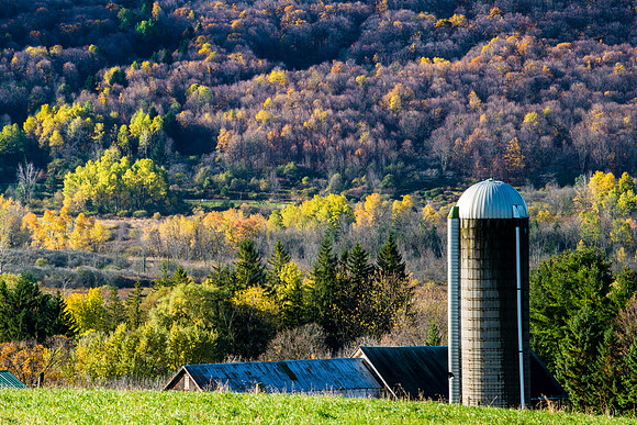 Neighbor's Farm - 10/24/2014