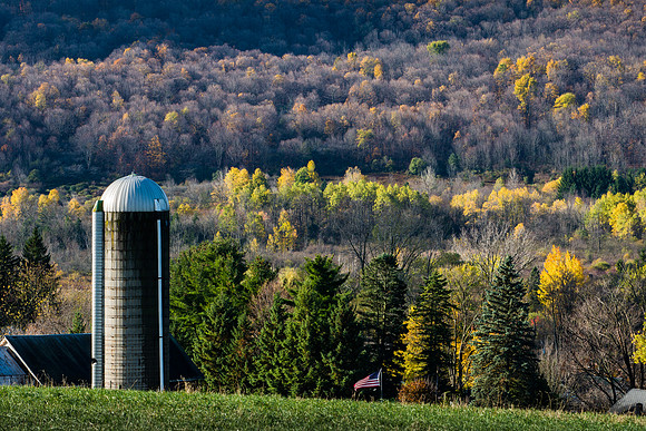 Neighbor's Farm - 10/24/2014