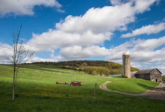 Neighbor's Farm, 5/3/2017