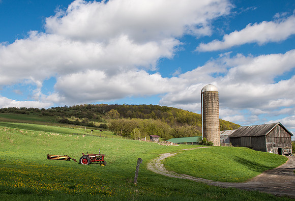 Neighbor's Farm, 5/3/2017