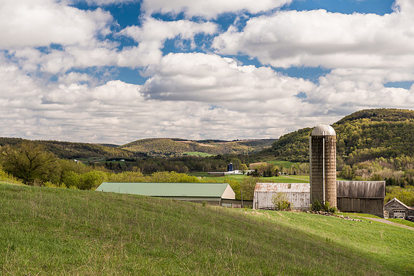 Neighbor's Farm, 5/3/2017