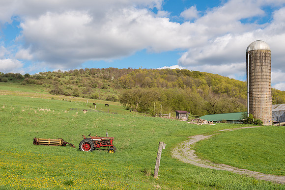 Neighbor's Farm, 5/3/2017