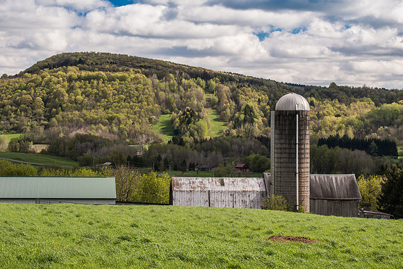 Neighbor's Farm, 5/3/2017
