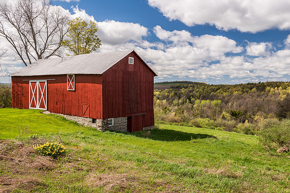 Neighbor's Barn, 5/3/2017