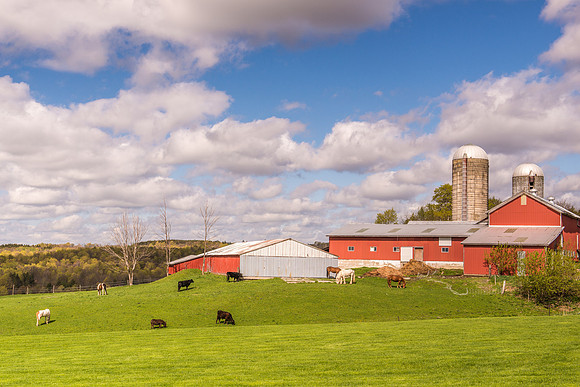 Damon Farm, 5/3/2017