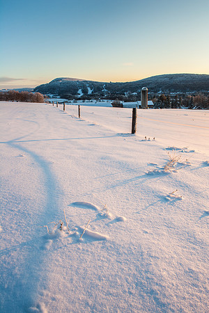 Neighbor's Farm, 1/10/2010