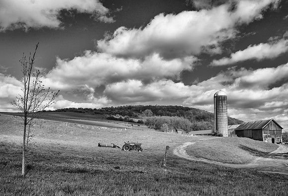 Neighbor's Farm, 5/3/2017