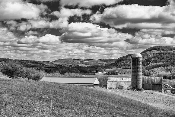 Neighbor's Farm, 5/3/2017