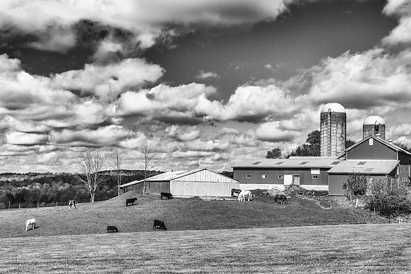 Damon Farm, 5/3/2017
