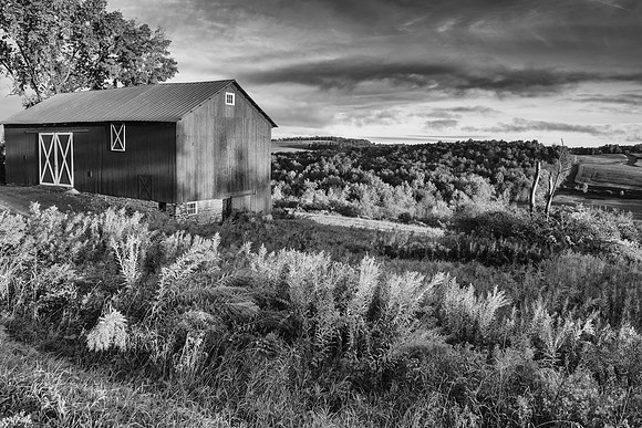 Neighbor's Barn, 10/10/2015
