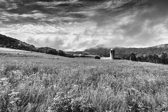 Neighbor's Farm - 6/26/2015