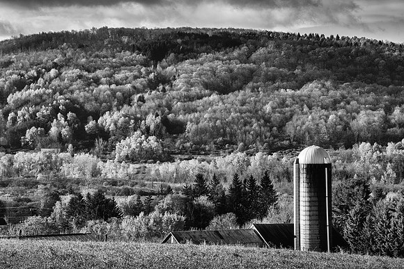Neighbor's Farm - 10/24/2014