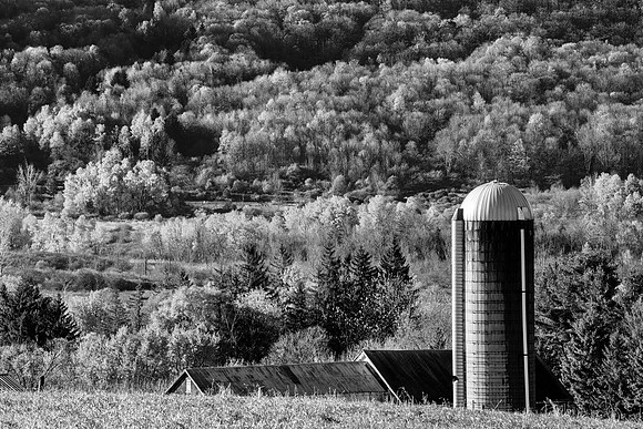 Neighbor's Farm - 10/24/2014