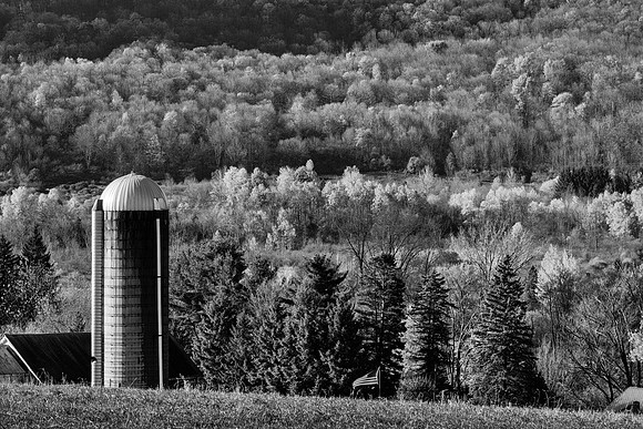 Neighbor's Farm - 10/24/2014
