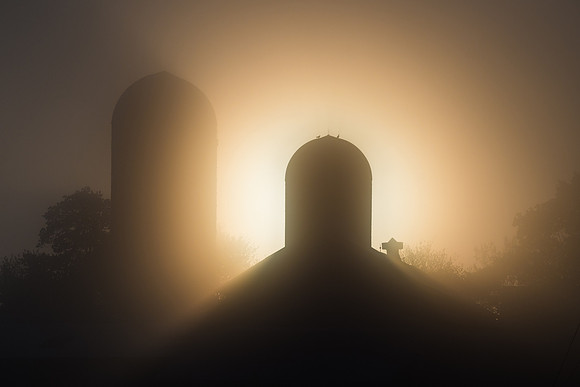 Damon Farm, 5/14/2017