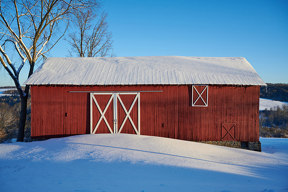 Neighbor's Barn, Winter 2020