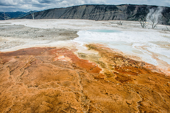 Mammoth Hot Springs, Yellowstone National Park