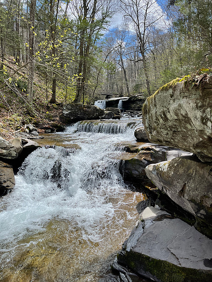 Falls on West Kill, 2021-05-12