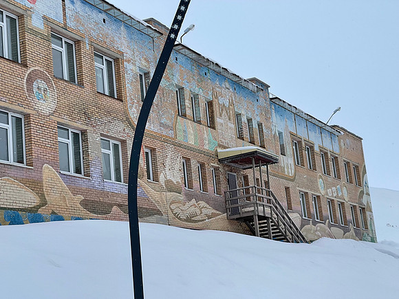 Arctic Animals painted on the School
