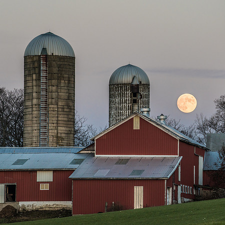 November Moon 02