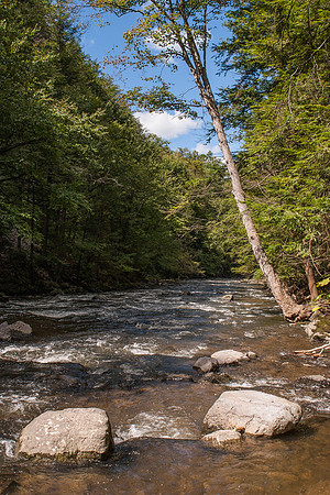 Chittenango Falls