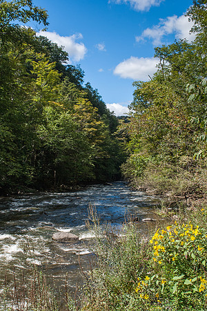 Chittenango Falls