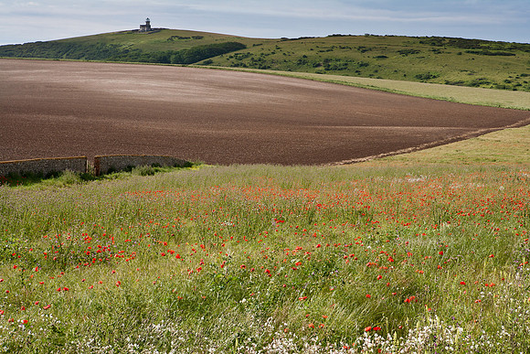Beachy Head, South Downs, England
