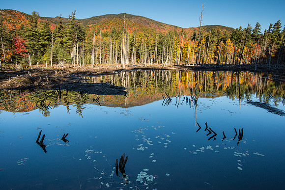 Pond Near Wilmington, 10/14/2016