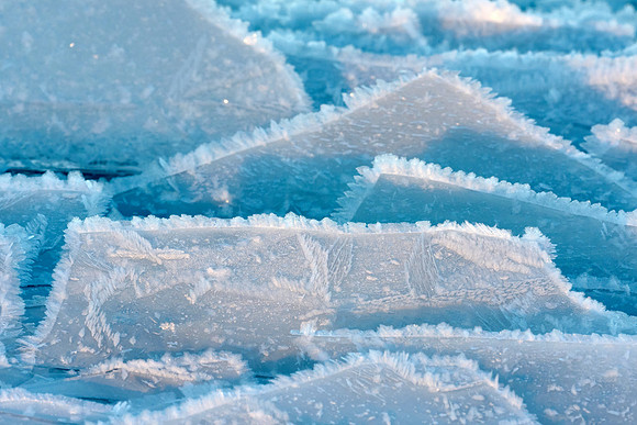 Ice "Lichen" grows on an Ice Shard, 2022-01-21