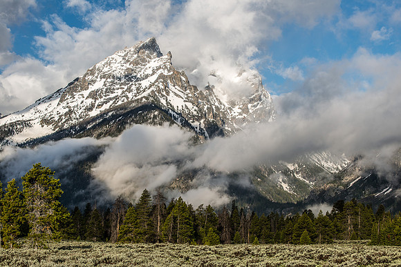 Grand Teton National Park, May