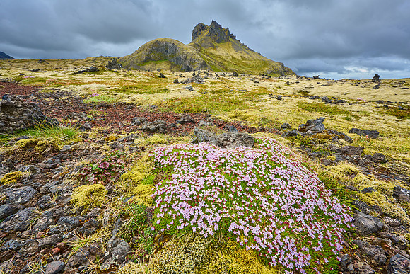 Snæfellsjökull National Park, June 2025