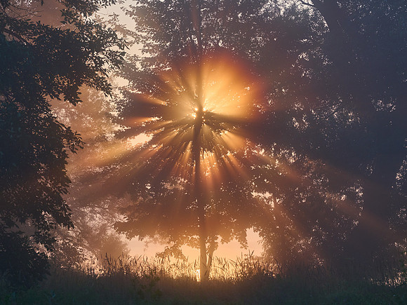 Kaleidoscope, 2023-07-04